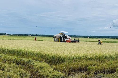 Lo lương thực thực phẩm bền vững cho 10 tỷ người
