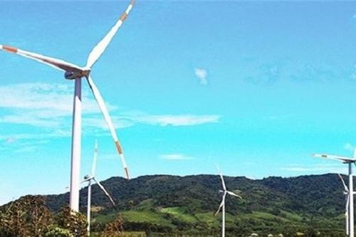 Nhiều dự án điện gió sử dụng lao động nước ngoài sai quy định