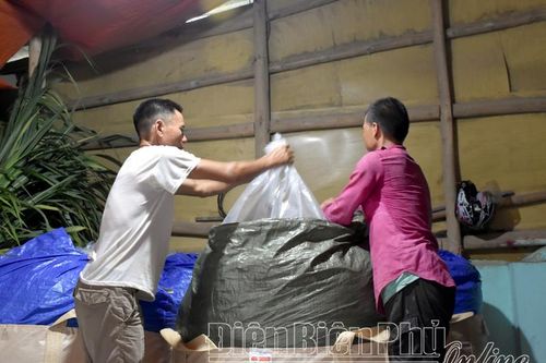 Tuần Giáo chủ động phòng chống dịch bệnh vật nuôi