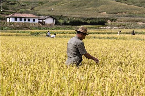 Hành động vì tương lai bền vững