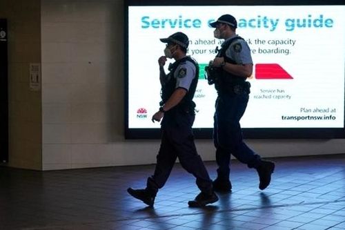 Australia thu giữ gần nửa tấn heroin trong container gạch men