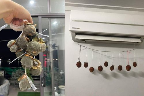 Dân mạng thi nhau làm hồng treo gió và cái kết lại cười ra nước mắt