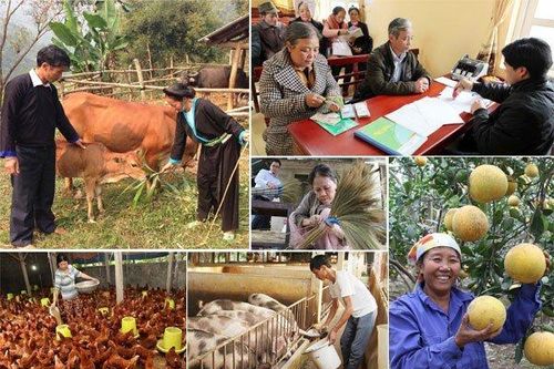 Đẩy mạnh thực hiện các chính sách giảm nghèo bền vững