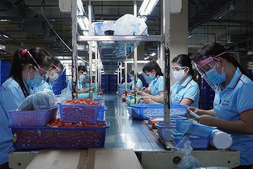 Chủ động thích ứng 'bình thường mới'