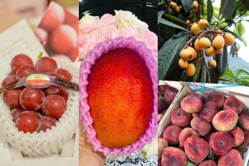 5 loại quả đắt đỏ vẫn 'cháy hàng' tại Việt Nam