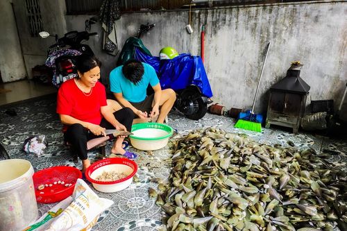 Hàng tấn 'lộc biển' dạt vào bờ, người dân đội mưa đổ xô đi vớt