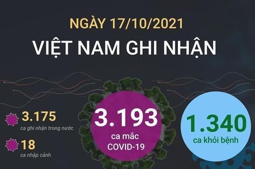 Tình hình dịch bệnh COVID-19 tại Việt Nam ngày 17/10