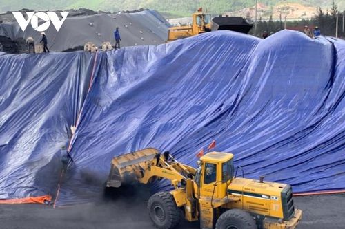 Bắt tạm giam 4 cán bộ Công ty Tuyển than Hòn Gai