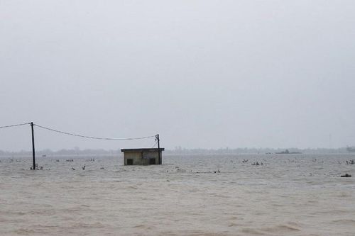 Quảng Trị: Hàng chục nghìn học sinh nghỉ học vì mưa lũ