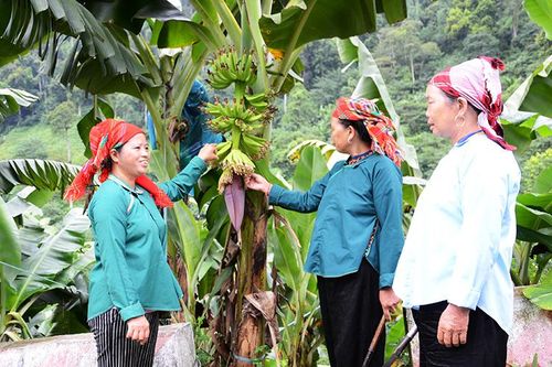 Đẩy mạnh thực hiện các chính sách giảm nghèo bền vững