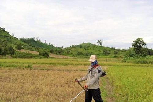 An sinh cho người hồi hương: Chật vật xoay xở