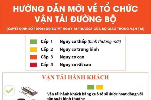 Hướng dẫn mới về tổ chức vận tải đường bộ