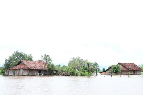 Mưa lũ gây thiệt hại nặng nề ở Đắk Lắk và Đắk Nông