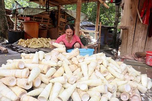 Kinh tế TRUYỀN HÌNH INTERNET Lai Châu qua ảnh