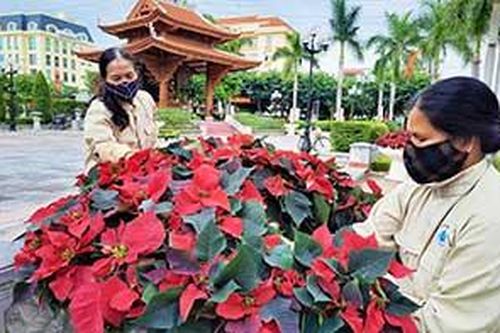 Thành phố Lạng Sơn: Sôi nổi các hoạt động hướng tới kỷ niệm 190 năm ngày thành lập tỉnhTin khácThành phố Lạng Sơn: Vững bước trên đường phát triểnDoanh nghiệp Lạng Sơn: Xây dựng, phát triển văn hóa doanh nghiệp