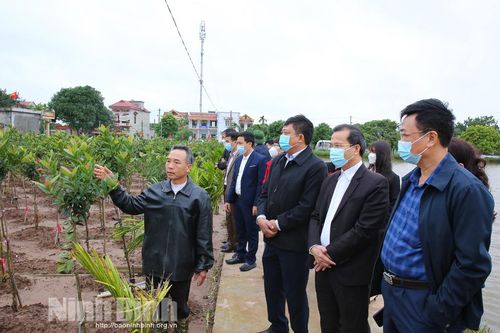 Thẩm định các xã đạt chuẩn NTM nâng cao ở huyện Yên Khánh