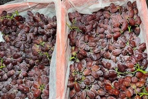 Sự thật về loại nho không hạt, siêu ngọt, siêu giòn và chỉ hơn 30.000 đồng/kg đang gây sốt tại Việt Nam