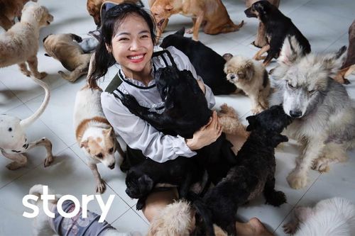Đôi vợ chồng trẻ ở TP.HCM nhận nuôi gần 350 chó, mèo vô chủ