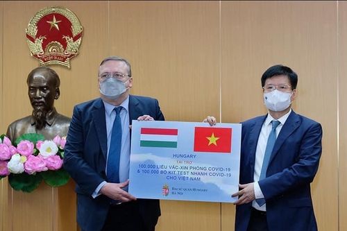 Bộ Y tế tiếp nhận vaccine COVID-19 và kit xét nghiệm nhanh của Chính phủ Hungary