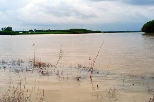 Bình Thuận mưa lớn kéo dài, hơn 1.200ha đất sản xuất ngập úng, thiệt hại gần 10 tỷ đồng