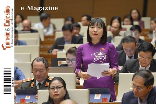 Đại biểu Quốc hội Nguyễn Thị Việt Nga: 'Phụ nữ cần vùng lên…'