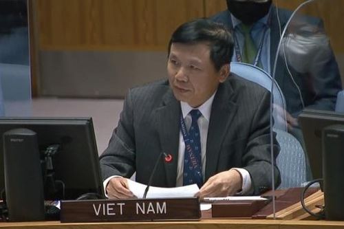 Việt Nam kêu gọi các bên tại CH Trung Phi thúc đẩy xây dựng lòng tin và tăng cường đối thoại