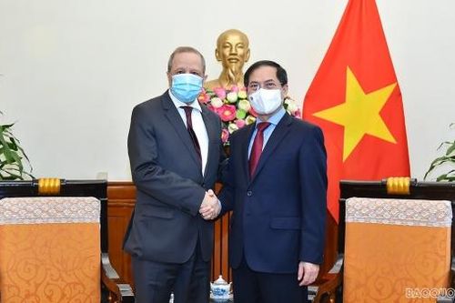 Bộ trưởng Ngoại giao Bùi Thanh Sơn tiếp Đại sứ Algeria Mohamed Berrah chào từ biệt