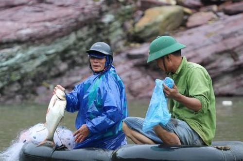 Săn cá 'khủng' khi hồ Kẻ Gỗ dừng xả lũ