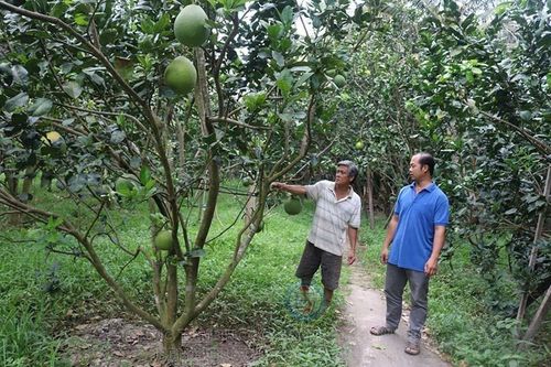 Lực lượng quan trọng đông gấp 30 lần Nhật, nhưng 'sức khỏe' yếu