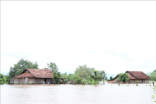 Mưa lũ gây thiệt hại tại các tỉnh miền Bắc, miền Trung và Tây Nguyên