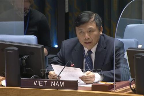 Việt Nam hoan nghênh tuyên bố ngừng bắn đơn phương của chính quyền CH Trung Phi