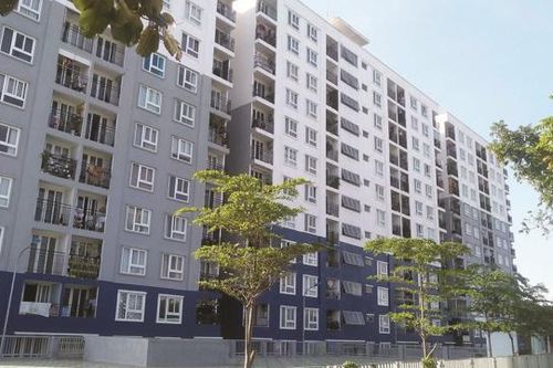 Kiến nghị miễn tiền thuê đất, sử dụng đất với diện tích đất làm nhà cho công nhân thuê