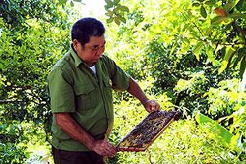Cựu chiến binh làm giàu từ nuôi ongTin khácNhững người 'giỏi việc nước, đảm việc nhà'Thành phố Lạng Sơn: Vững bước trên đường phát triển