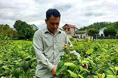 Hợp tác xã Thanh Tân: Linh hoạt, nhạy bén để phát triểnTin khácThành phố Lạng Sơn: Vững bước trên đường phát triểnDoanh nghiệp Lạng Sơn: Xây dựng, phát triển văn hóa doanh nghiệp