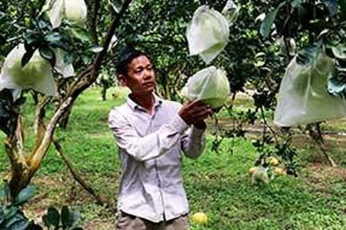 Hữu Lũng: Chú trọng xây dựng vùng sản xuất tập trungTin khácThành phố Lạng Sơn: Vững bước trên đường phát triểnDoanh nghiệp Lạng Sơn: Xây dựng, phát triển văn hóa doanh nghiệp