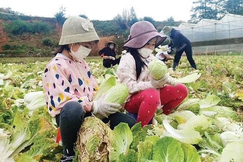 Khối đại đoàn kết vun đắp từ yêu thương (Bài 2)
