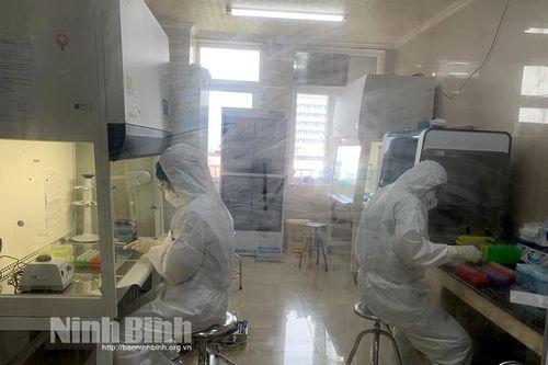16 mẫu xét nghiệm nhanh dương tính tại Công ty TNHH giày ADORA đều đã âm tính