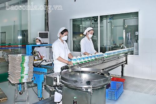 Cầu nối giúp doanh nghiệp phục hồi, phát triển sản xuất, kinh doanh