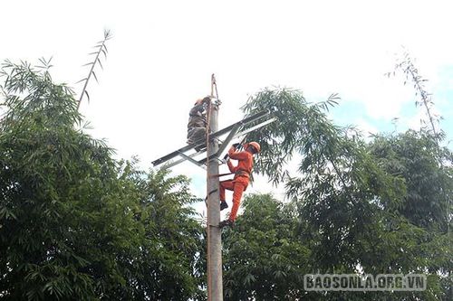 Đưa điện về nông thôn