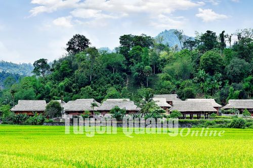 Xóa mái tôn ở những điểm du lịch cộng đồng