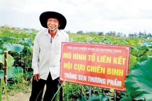 Kinh tế Nông nghiệp - Nông thôn Hồ sen của ông Cư