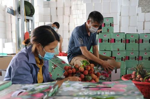 Chú trọng bảo hộ chỉ dẫn địa lý