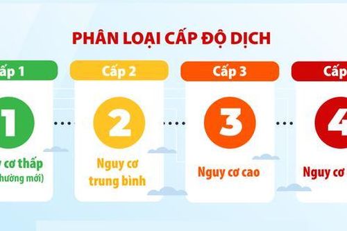 Phân cấp độ dịch, TP.HCM đang ở cấp mấy?