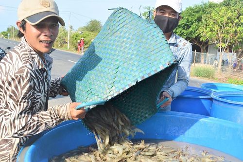 7 tỉnh, thành miền Tây liên kết chống dịch và phát triển kinh tế
