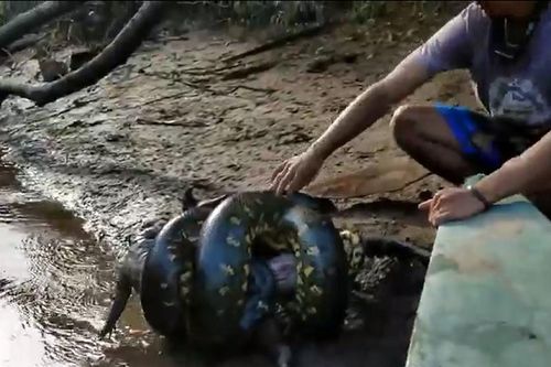 Bắt gặp 'quả bóng thịt' bên bờ sông, thất kinh khi thấy nó động đậy