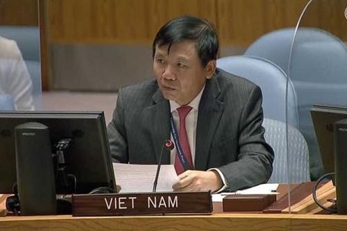Việt Nam hoan nghênh các hoạt động đối thoại, tiếp xúc giữa Israel và Palestine