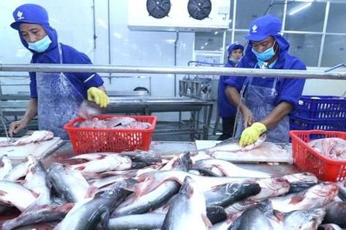 Thi hành Luật Bảo vệ Môi trường: Làm rõ nhiều nội dung doanh nghiệp quan tâm