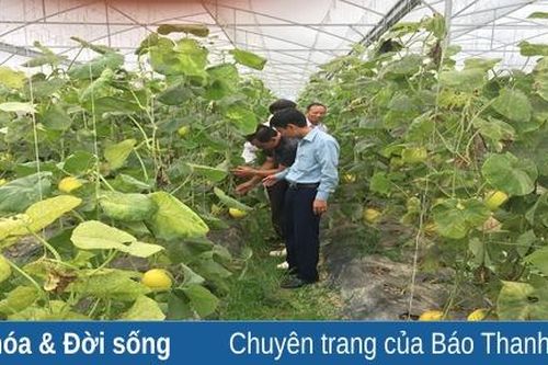 Những nông dân làm giàu từ công nghệ cao