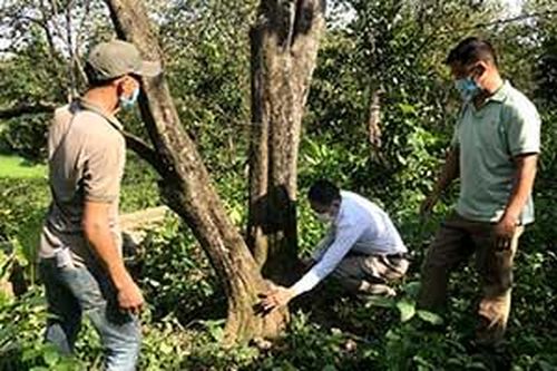 Cần tiếp tục bảo tồn vườn hồng cổ trước nguy cơ thoái hoáTin khácNhững người 'giỏi việc nước, đảm việc nhà'Thành phố Lạng Sơn: Vững bước trên đường phát triển