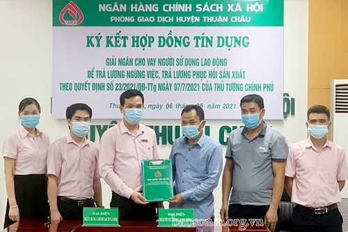 Hỗ trợ doanh nghiệp, HTX ổn định sản xuất